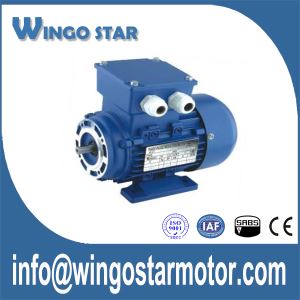Piccoli motori elettrici